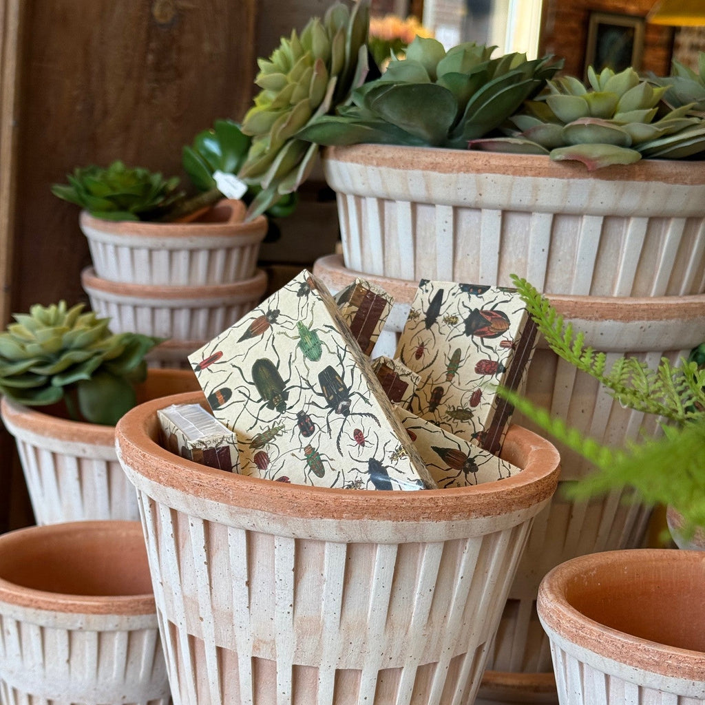 Labor Day Weekend: Lots of Pots on SALE!