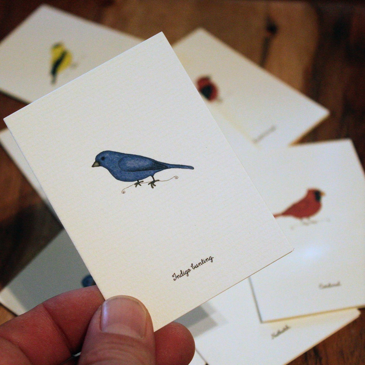 A Box Of Tiny Bird Cards – FOUND Gallery Ann Arbor
