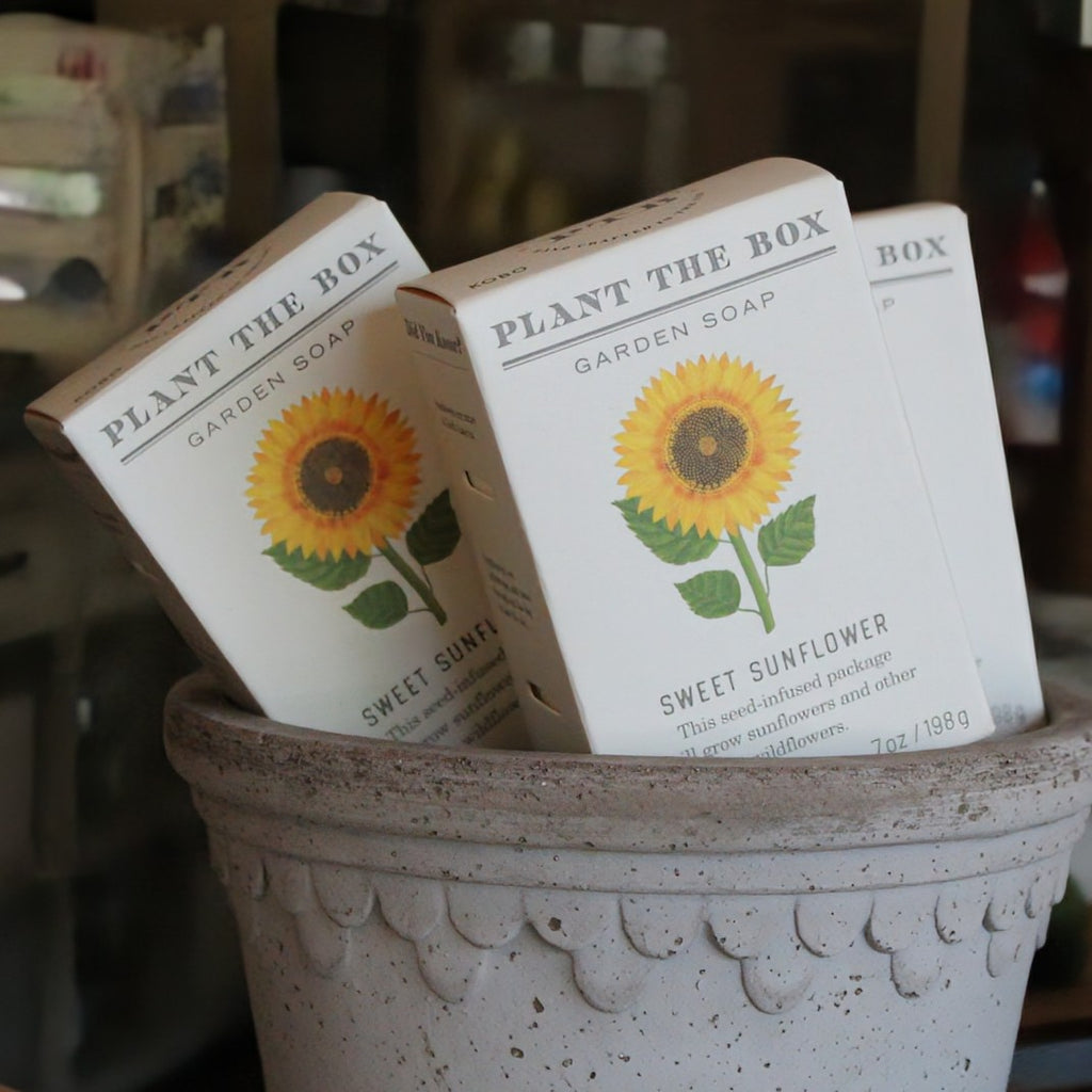 Three 'Plant the Box' Sunflower garden soap bars with sunflower design in a decorative pot.