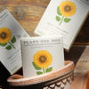 Bar of soap with 'Plant the Box' branding and sunflower design on packaging in a pot on a wooden surface. 