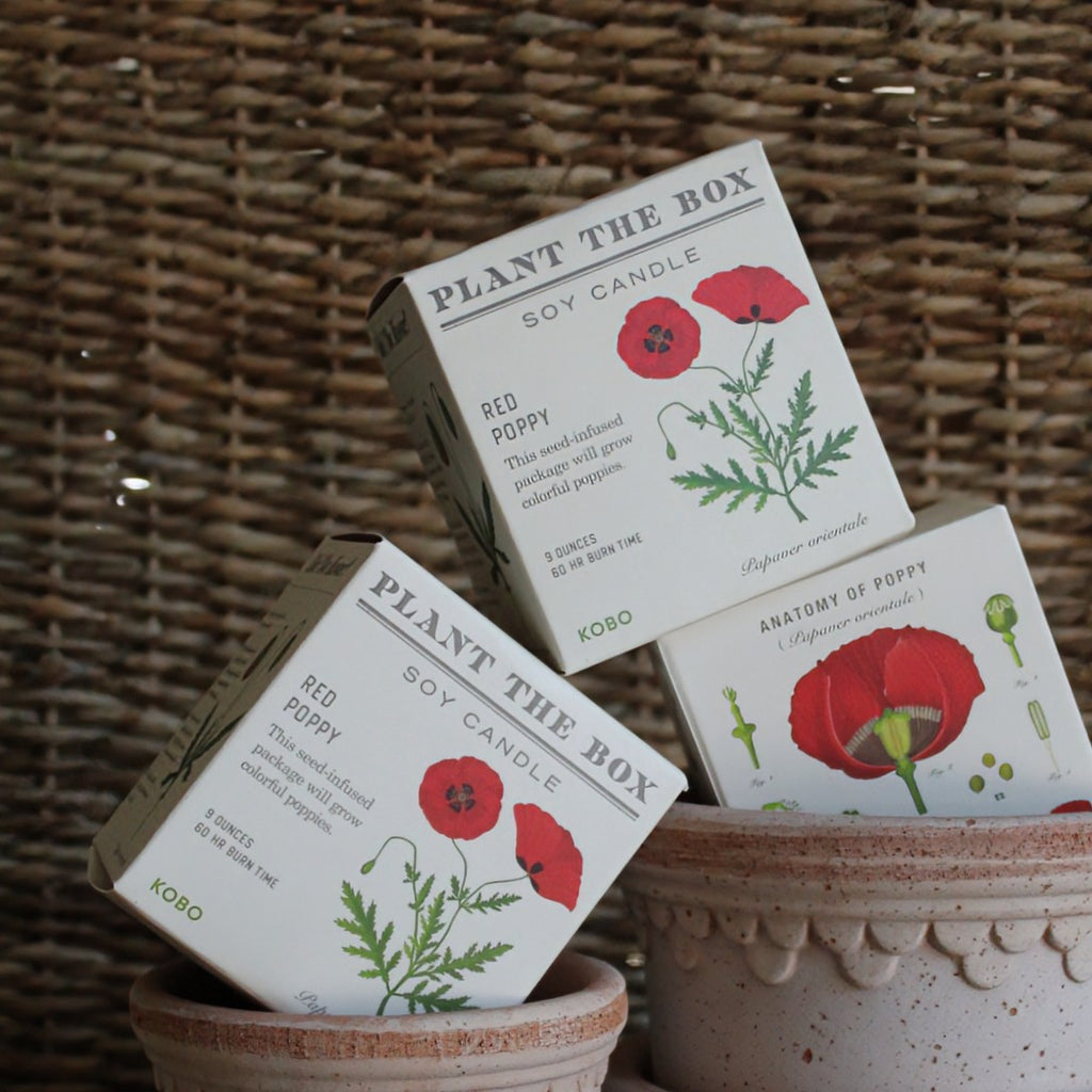 Three 'Plant The Box' soy candle boxes with red poppy design in handmade terracotta pots on a woven background