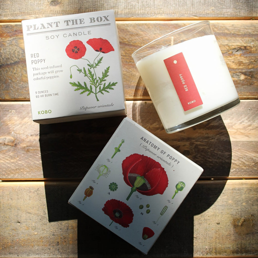 Poppy scented soy candle with packaging featuring red poppy design on a wooden surface