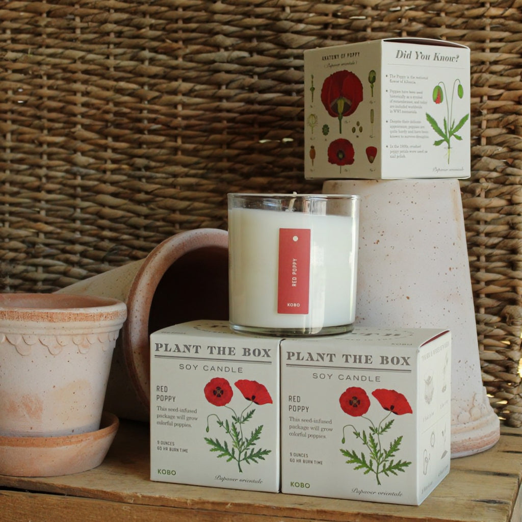 Candle with 'Plant the Box' packaging on a wooden surface against a woven basket background