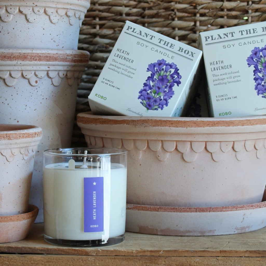 Soy candle with 'Plant the Box' packaging and lavender design in with handmade terracotta pots.