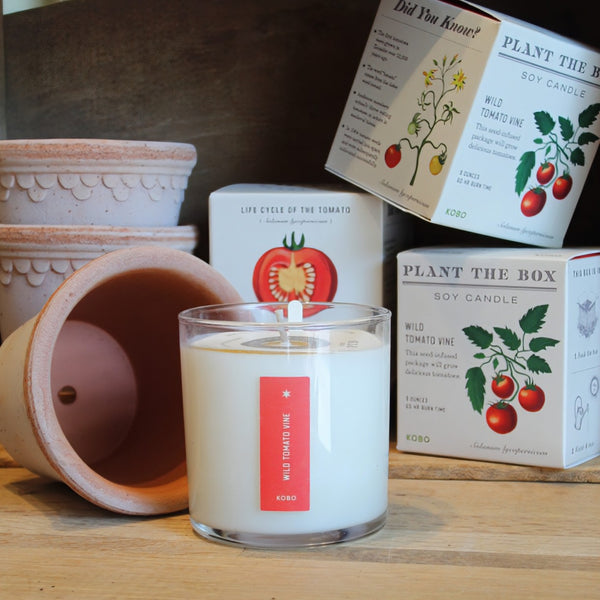 A soy candle in a clear glass jar with white wax and a red label reading 'WILD TOMATO VINE' is displayed on a wooden surface, alongside its branded box and two terracotta pots. Other boxes in the background read 'Plant the Box' and 'Life cycle of the Tomato'.