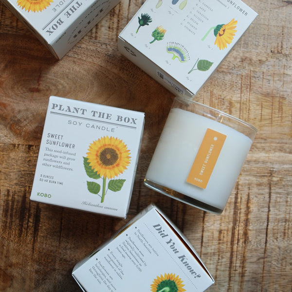 A styled flat-lay of 'Plant the Box' soy candles, featuring a glass jar candle with a yellow sunflower label alongside its illustrated white packaging boxes on a rustic wooden background.