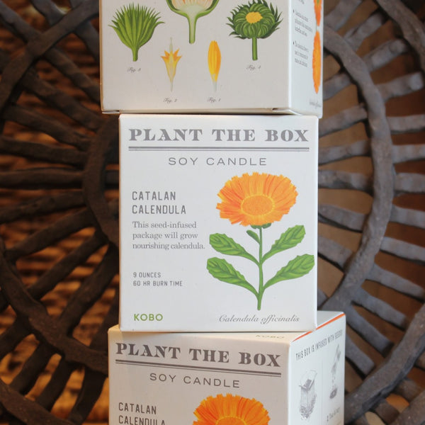 Three stacked white product boxes for 'Plant the Box' soy candles, featuring illustrations of a Catalan calendula flower and botanical diagrams, set against a dark handmade ceramic background.