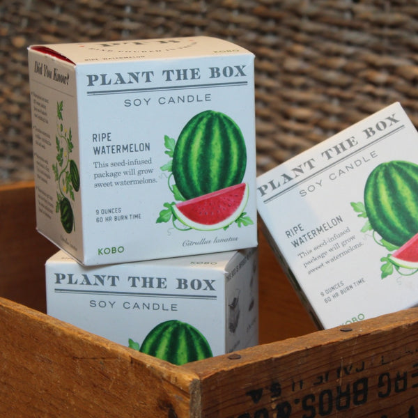 Three white soy candle boxes labeled "PLANT THE BOX" and "RIPE WATERMELON" with watermelon illustrations, arranged in a rustic wooden crate.