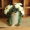 Green stonewate watering pitcher in the shape of a frog with an open mouth and big protruding eyes being used as a vase - holding white flowers on a wooden surface