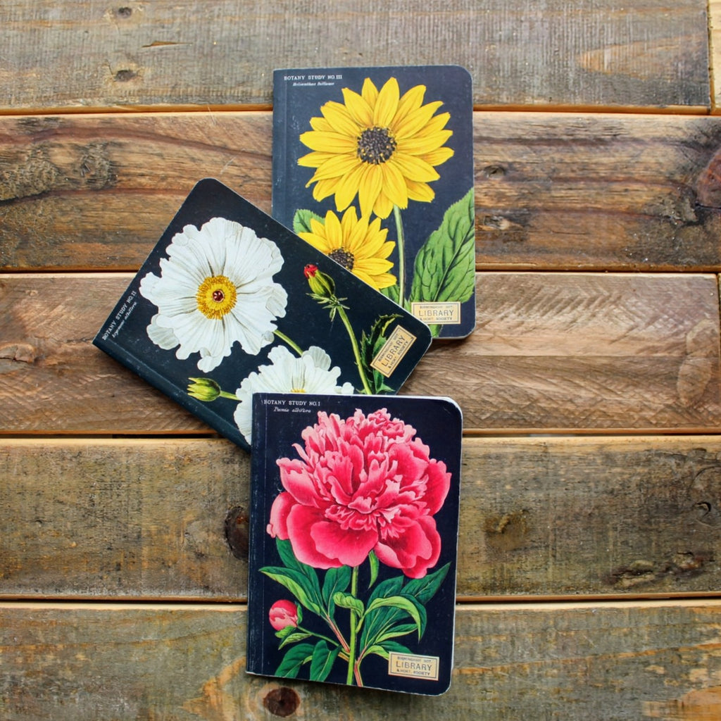 Botany Design Note Book Botany - Mini Notebooks – FOUND Gallery Ann Arbor