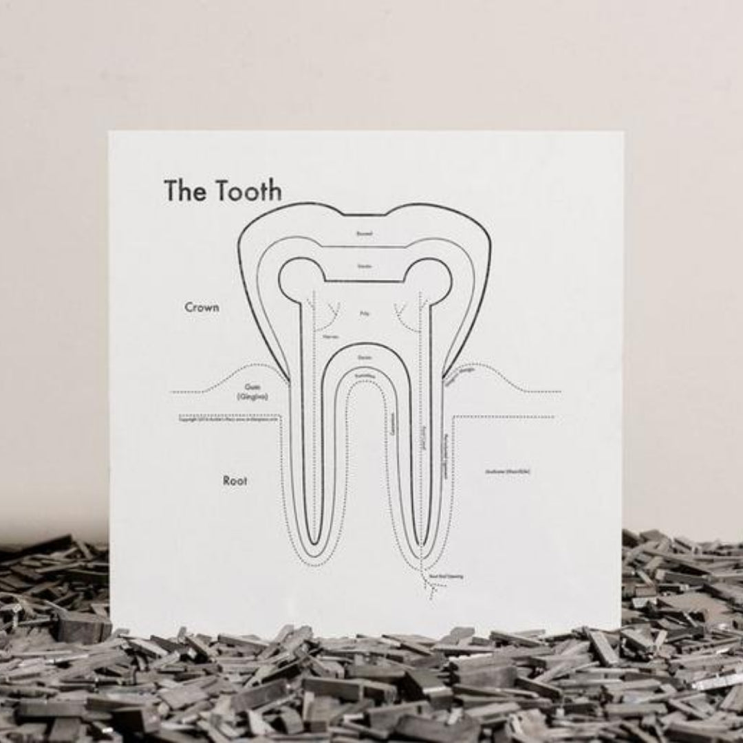 The Tooth Print – FOUND Gallery Ann Arbor