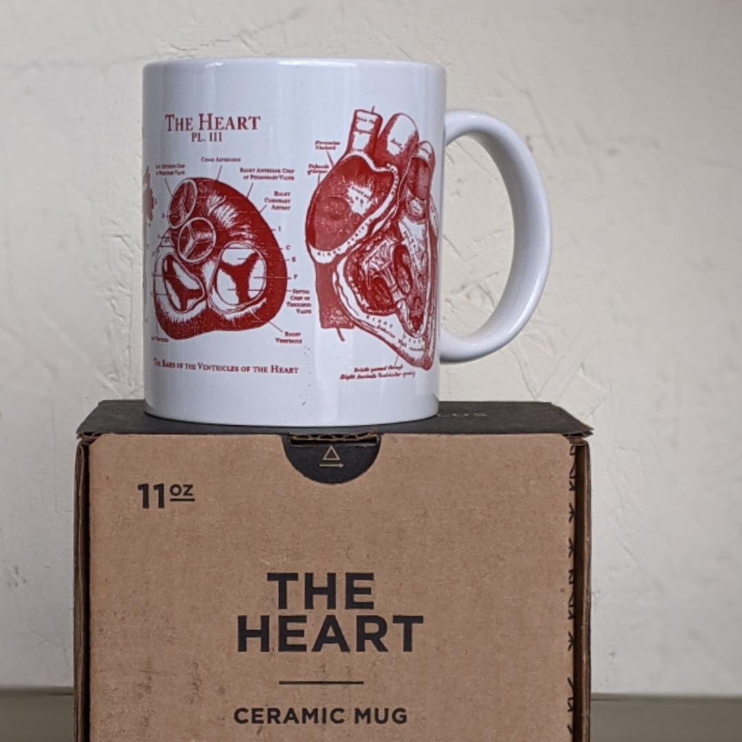 Cardiology Anatomical Heart Mug 20 oz | Medicine Gift