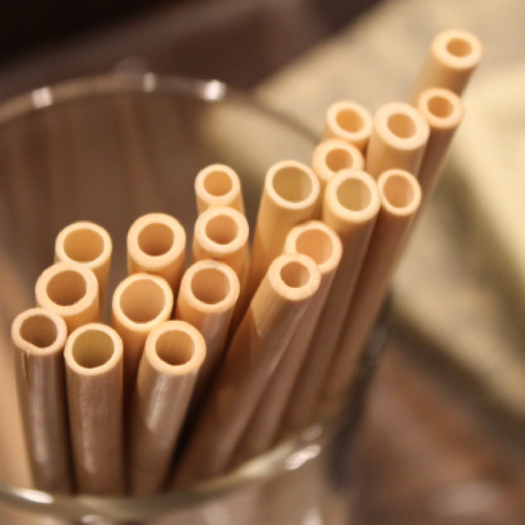 Bamboo Straws — My Lovely Muse